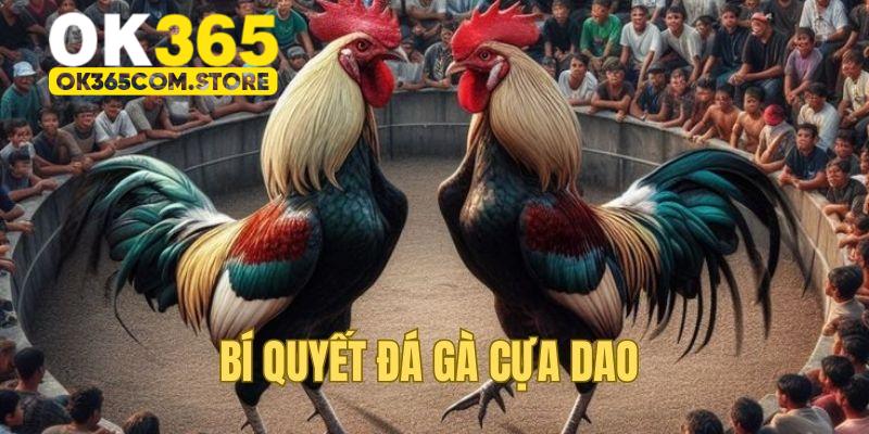 Bí quyết đánh giá và chọn chiến kê tốt