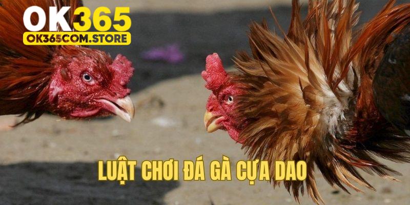 Luật thi đấu trong chọi kê cựa dao